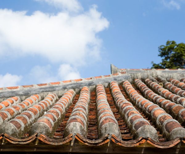 Asian roof clay tiles