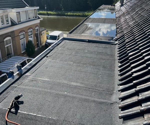 Dak_Advies_Groep_BV-- (2)